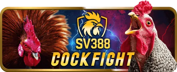 Hình ảnh game nổ hũ video Kho Báu Đại Dương với đồ họa dưới biển sống động